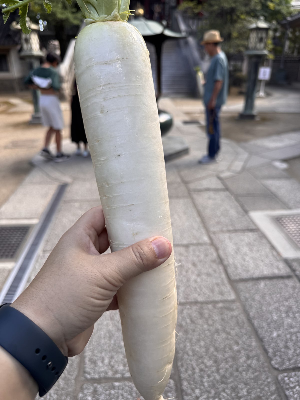 Holding a whole daikon radish taken home from Matsuchiyama Shoden
