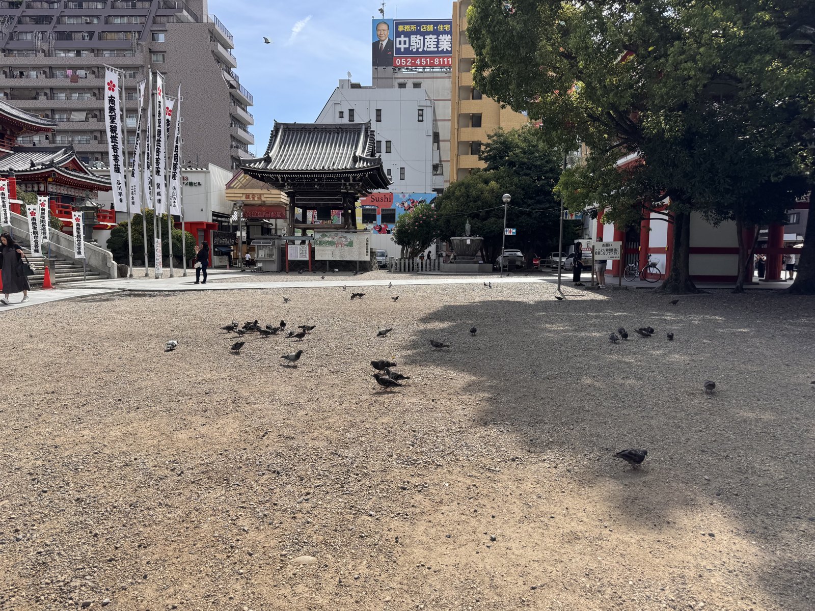The forecourt of Osu Kannon at 09:17 with pigeons and no visitors