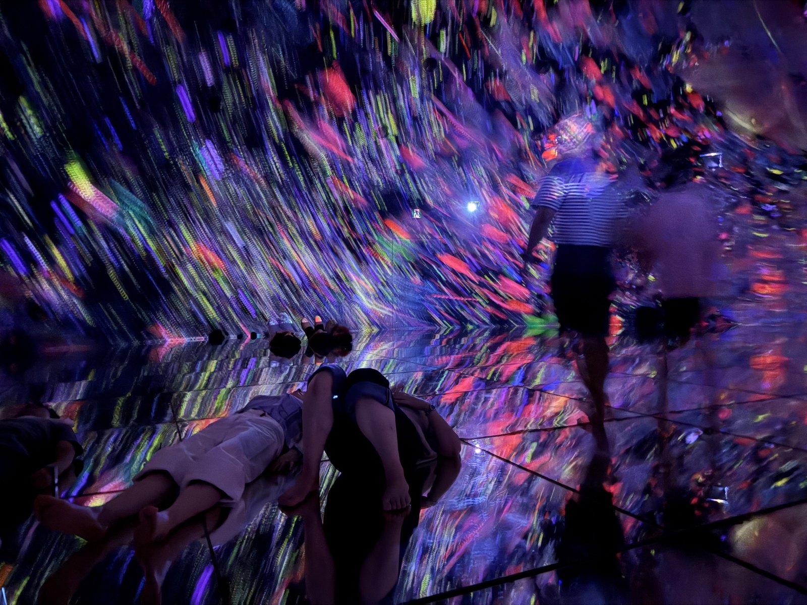 Flowers projected onto a dome above visitors lying down at teamLab Planets