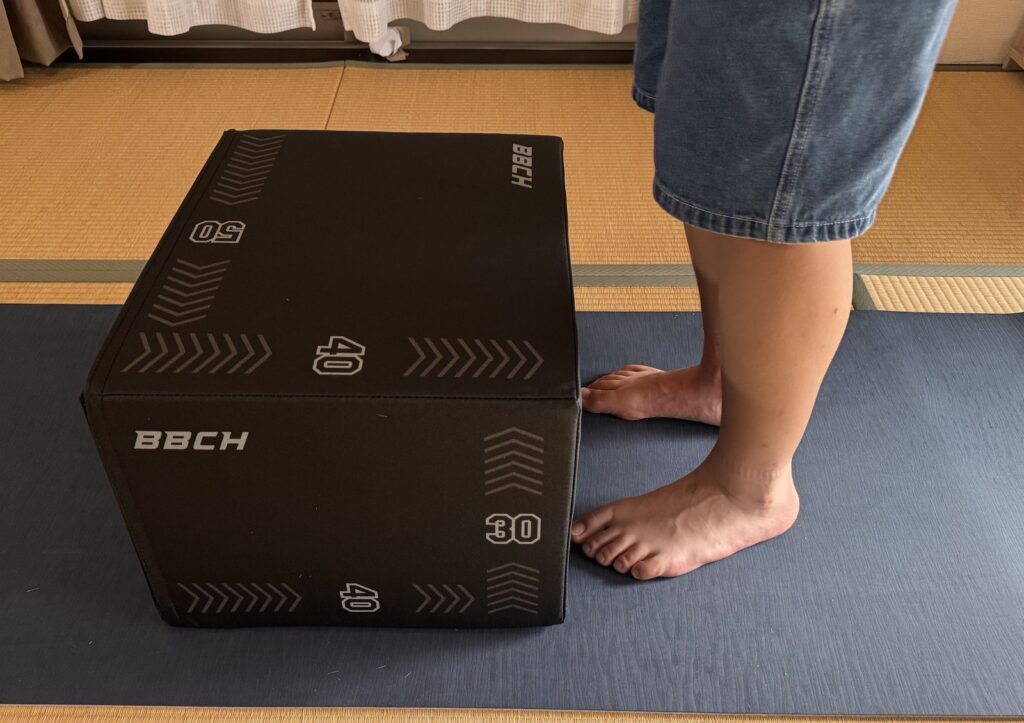 BBCHプライオボックスを30cmの高さで設置した状態