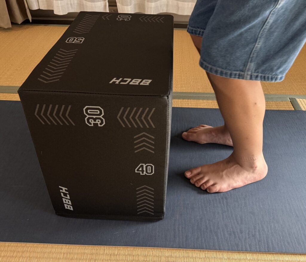 BBCHプライオボックスを40cmの高さで設置した状態
