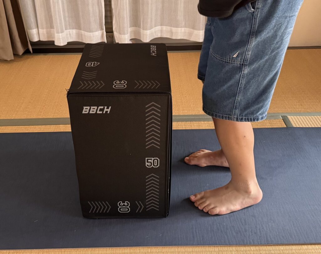 BBCHプライオボックスを50cmの高さで設置した状態